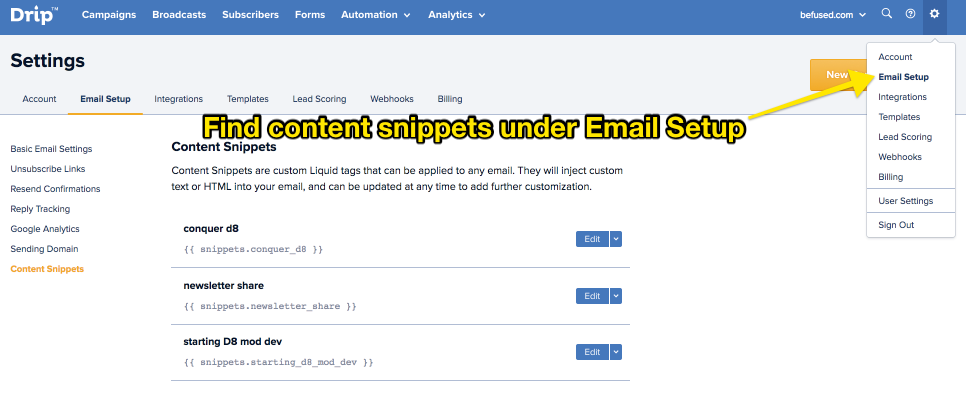 Find content snippets under Email setup